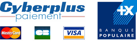 Logo-cber-plus